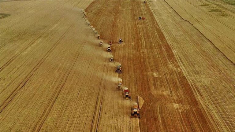 Tarım Sektörünün Dünü, Bugünü ve Yarınına Bakış